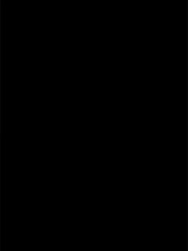 Image: 13151917