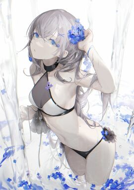 Image: 4584049