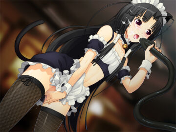 Image: 3038160