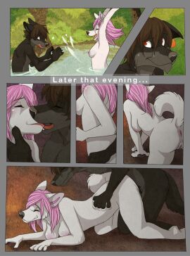 Image: 487159