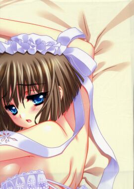 Image: 3018774