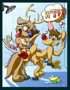 Image: 4964892