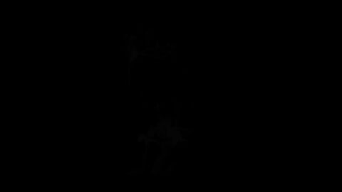Image: 6294981