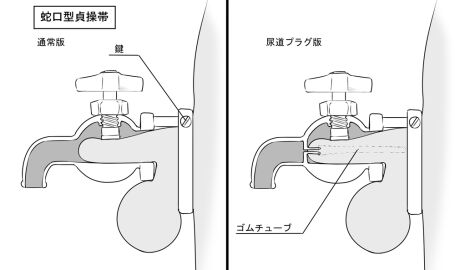 Image: 12435186