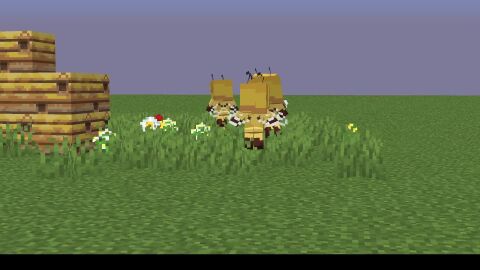 Image: 7555989