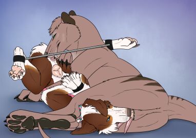 Image: 12795264