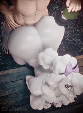 Image: 13080541