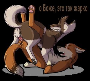 Image: 564900
