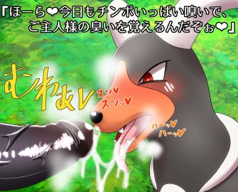 Image: 1935106