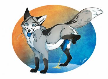 Image: 1635709