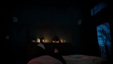Image: 13105071