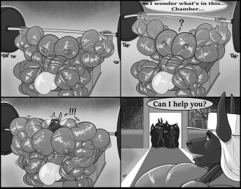 Image: 4576952