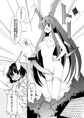 Image: 2719501