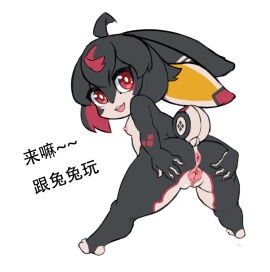 Image: 11305633