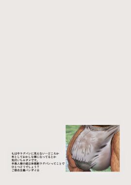 Image: 4347641