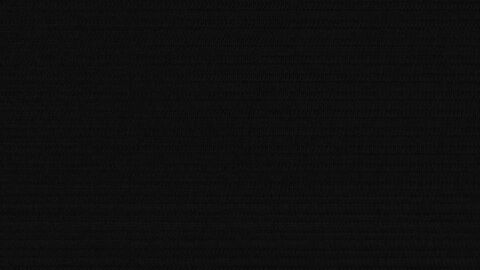 Image: 13088098