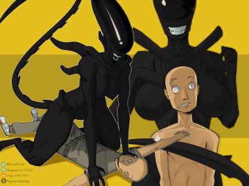 Image: 11450835