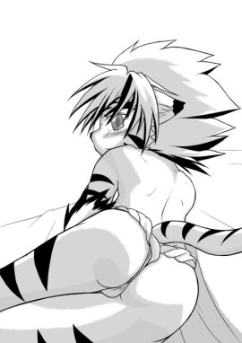 Image: 3173164