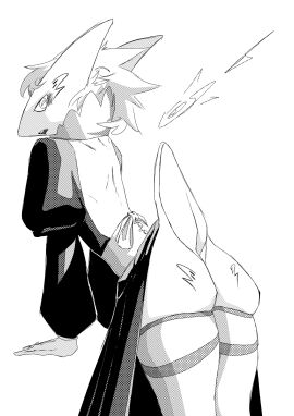 Image: 9040494