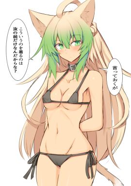 Image: 4540702
