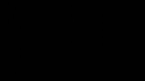 Image: 8732171