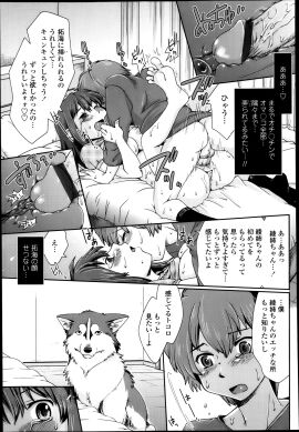 Image: 731310