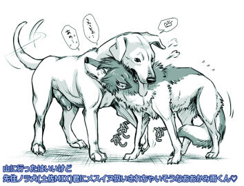 Image: 734620
