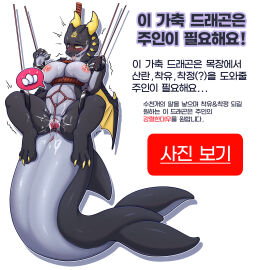 Image: 11505620