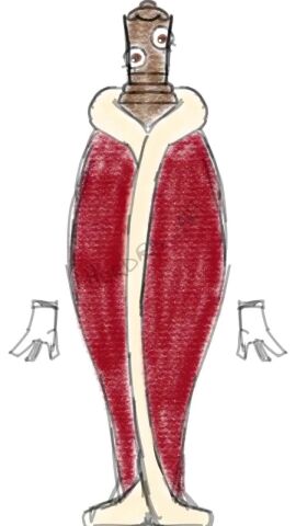Image: 13041303