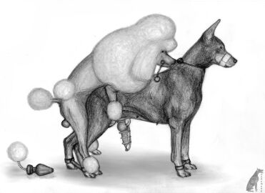 Image: 1771880