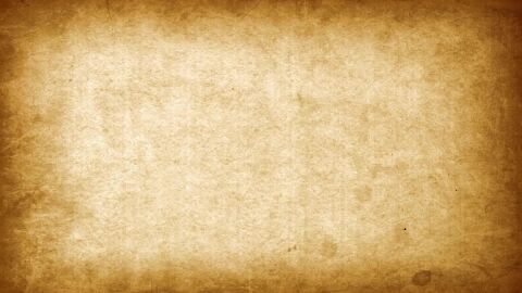 Image: 8114558