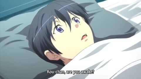 Image: 8279003