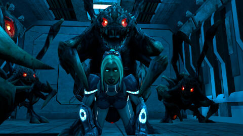 Image: 1288477