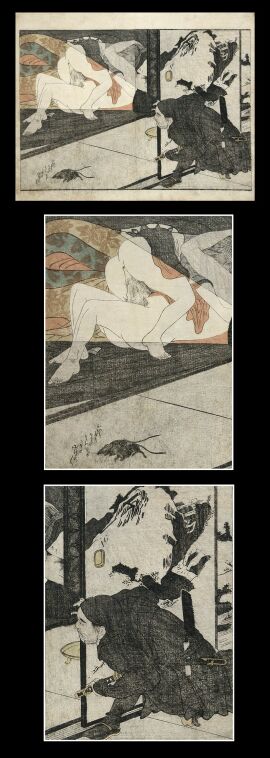 Image: 19147