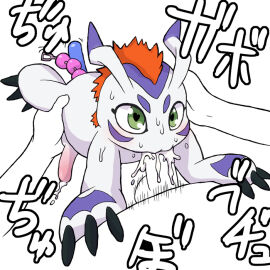 Image: 107135